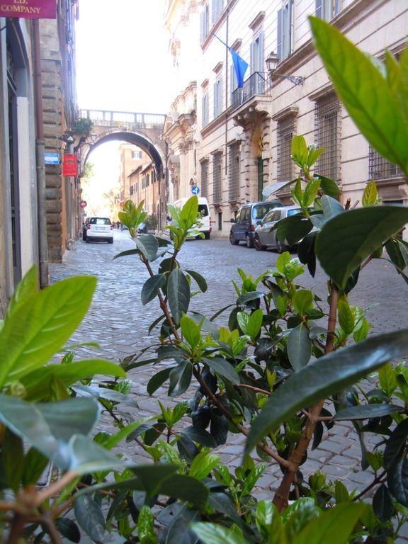 Appartement Via Giulia Rome